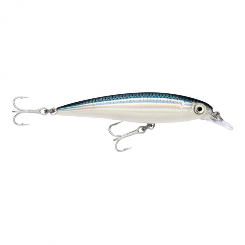 Rapala X-Rap Saltwater Color BFH
