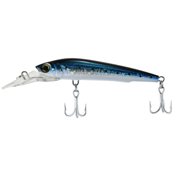 Shinka Ghost Color C22