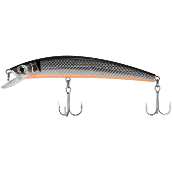 Shinka Seeker Color C97