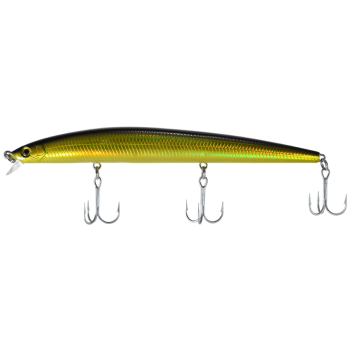 Shinka Sutikku Color A62